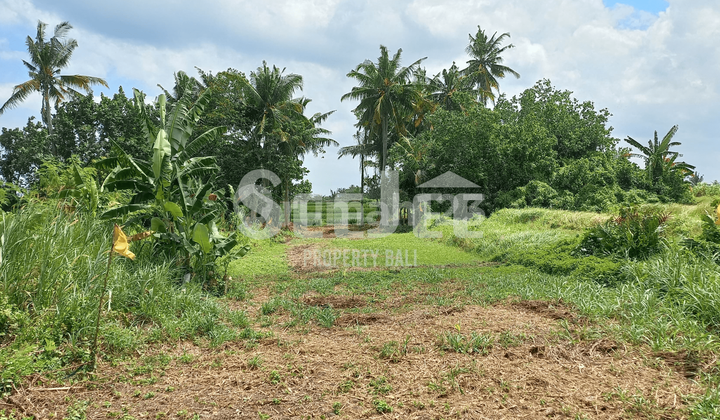 Tanah Pantai Prima di Belong dengan Akses Jalan 9M - Ideal untuk Pengembangan Pariwisata - Slfc064