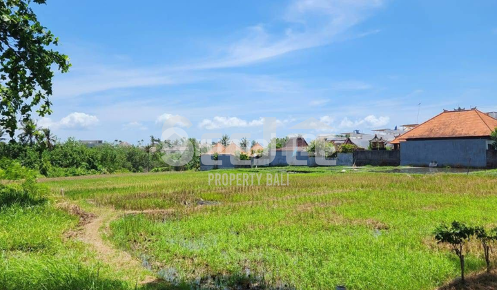 FREEHOLD LAND FOR RENT IN SESEH PINK ZONE, WALKING DISTANCE TO THE BEACH! - SLFC060