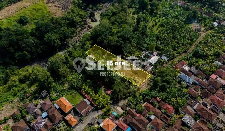 Tanah Freehold Tepi Sungai di Pasut Tabanan - Ideal untuk Kompleks Villa Mewah Tanah Freehold Tepi Sungai di Pasut Tabanan - Ideal untuk Kompleks Villa Mewah