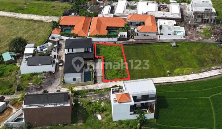 Disewakan Tanah 4.5 Are di Munggu Badung Bali Roi Bagus