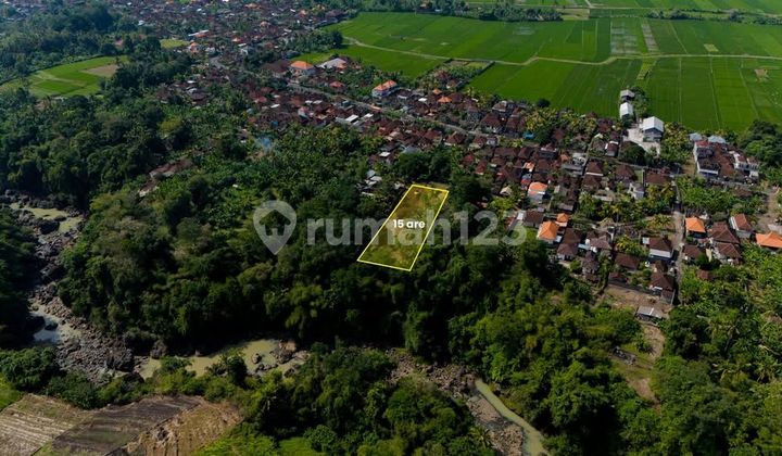 Jual Tanah SHM di Pasut Tabanan Bali Zona Kuning - Slft063 Jual Tanah SHM di Pasut Tabanan Bali Zona Kuning - Slft063