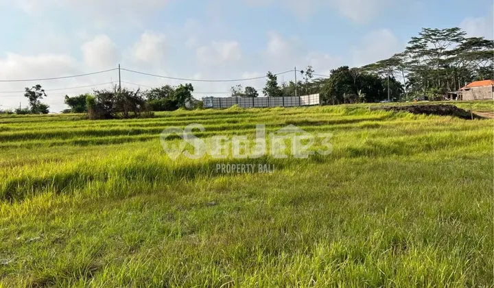 For Lease - Rare Pink Zone Land Near Nyanyi Beach & Nuanu - Coastal Growth Corridor Opportunity - Sllt035 For Lease - Rare Pink Zone Land Near Nyanyi Beach & Nuanu - Coastal Growth Corridor Opportunity - Sllt035