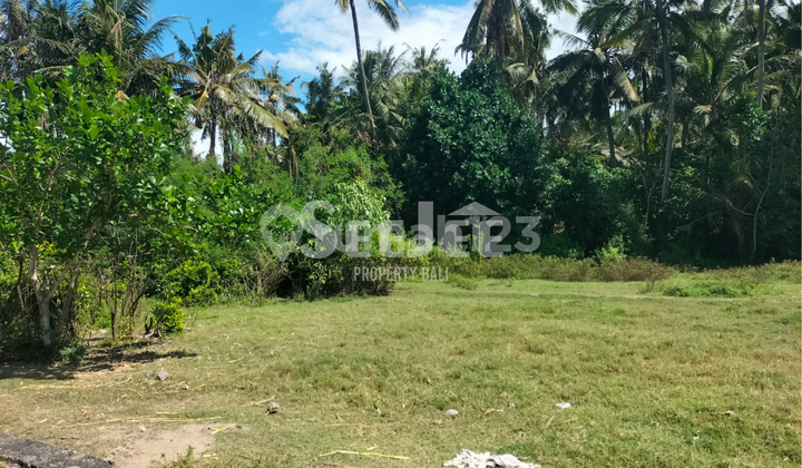 RARE LAND 8.9 ARE FREEHOLD IN SABA – ONLY 3 MINUTES TO THE BEACH – SLFG038 RARE LAND 8.9 ARE FREEHOLD IN SABA – ONLY 3 MINUTES TO THE BEACH – SLFG038