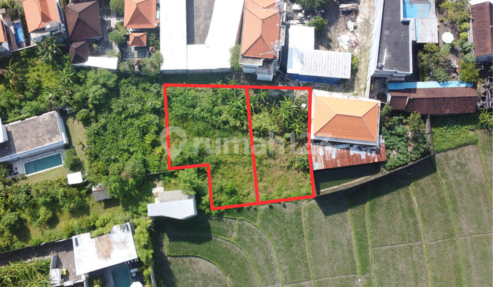 RARE 7 ARE LAND WITH STUNNING RICE FIELD VIEWS IN BUDUK – TRANQUILITY MEETS PRIME LOCATION – SLLC023