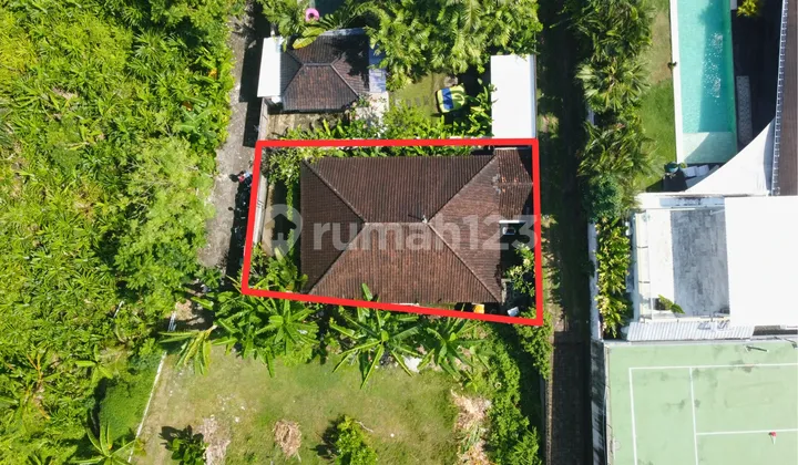 For Lease Small Plot2 In Canggu Bali- Orange Zone! - Sllc037 For Lease Small Plot2 In Canggu Bali- Orange Zone! - Sllc037