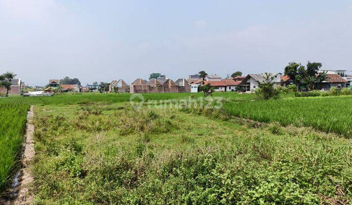 Tanah Sawah Di Soreang Cingcin Murah Sekali 2