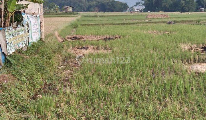 Lahan Tanah Desa Karang Tanjung Cililin Kabupaten Bandung 2