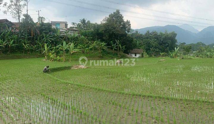 Jual Tanah Sawah Masih Aktip Desa Cikadu Cililin Kecamatan Sindangkerta. 1