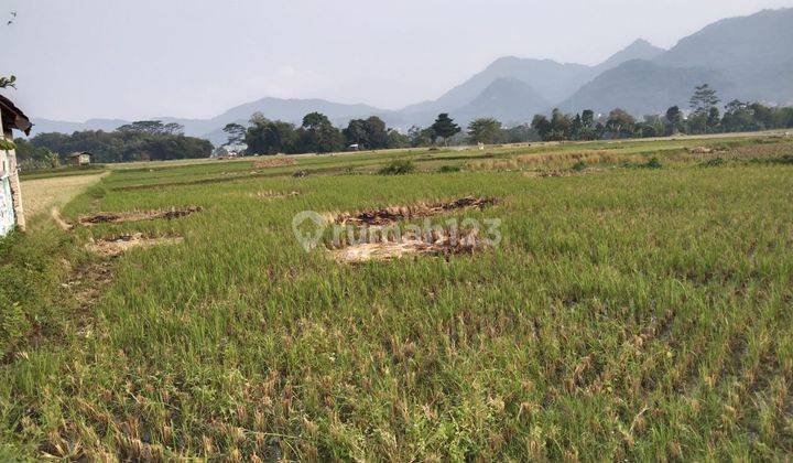 Lahan Tanah Desa Karang Tanjung Cililin Kabupaten Bandung 2