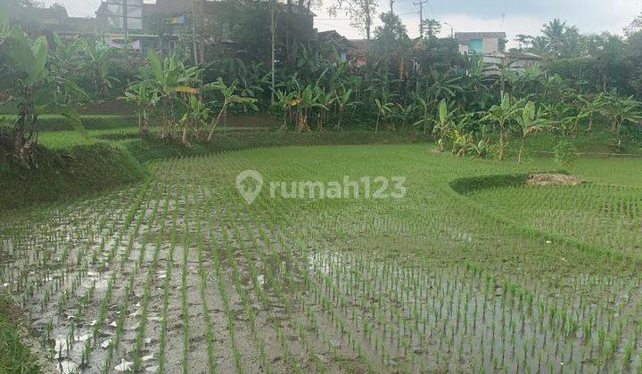 Jual Tanah Sawah Masih Aktip Desa Cikadu Cililin Kecamatan Sindangkerta. 2