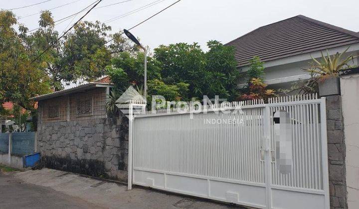 PUCANG JAJAR UTARA RUMAH ASRI DAN SENI 2