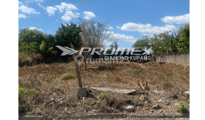 Dijual Tanah Luas di Airnona, Kota Kupang 1