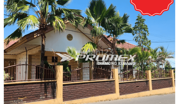 DIJUAL RUMAH TINGGAL AREA NAIKOTEN 1 KUPANG 1