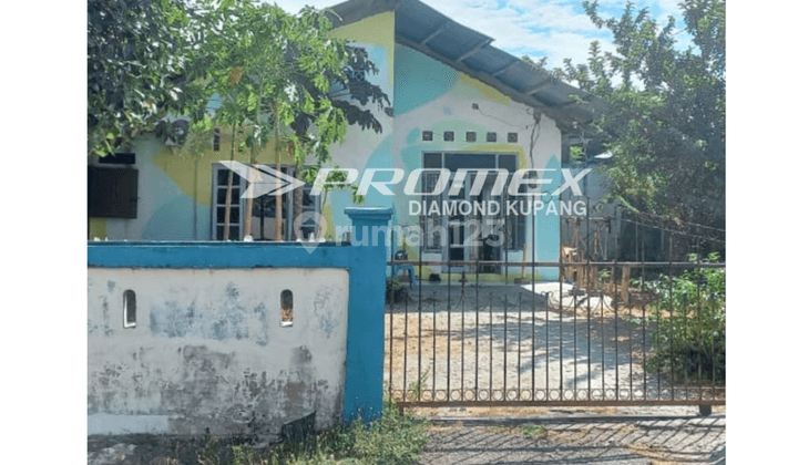 Dijual Tanah di Jalan Perwira, Kota Kupang Ntt  2