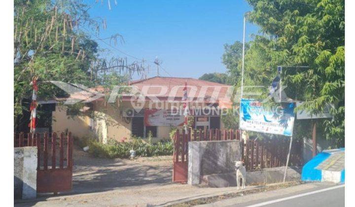 Rumah Bagus Dijual Tempat Strategis Kelapa Lima Kupang 1