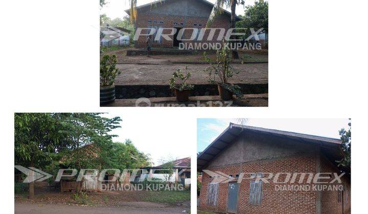 Rumah Sudah Renovasi di Ntt, Flores Timur 1