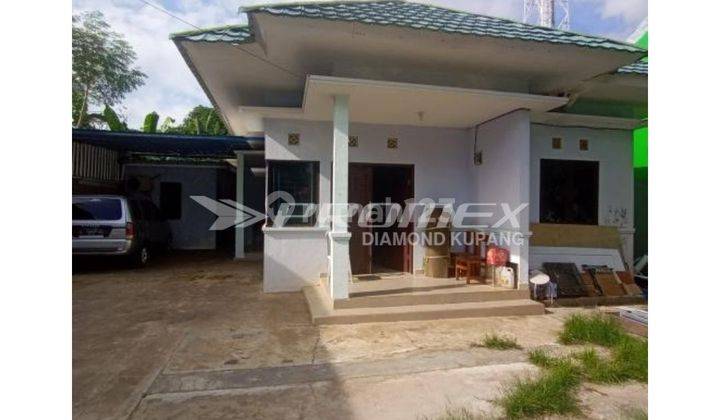 Dijual Rumah Bagus Lokasi di Pusat Kota Kupang 1