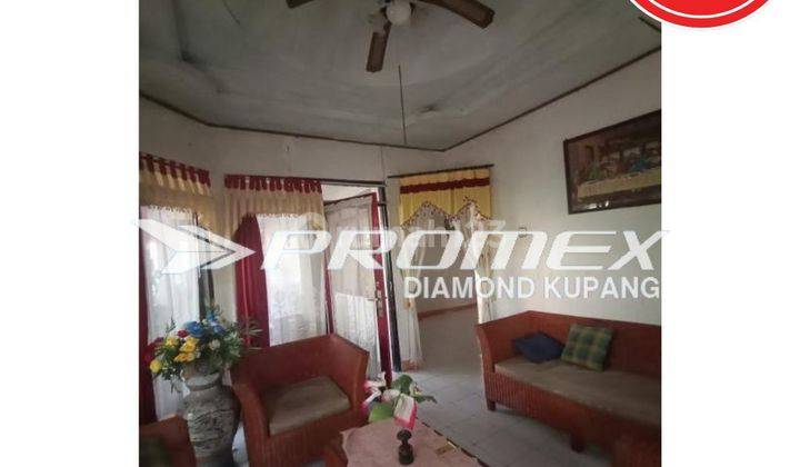 Rumah Bagus di Fatululi Oebobo Kota Kupang Ntt , Kupang 1