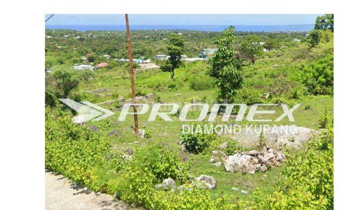 Tanah di Batuplat - Maulafa, Kupang 764 m² 1