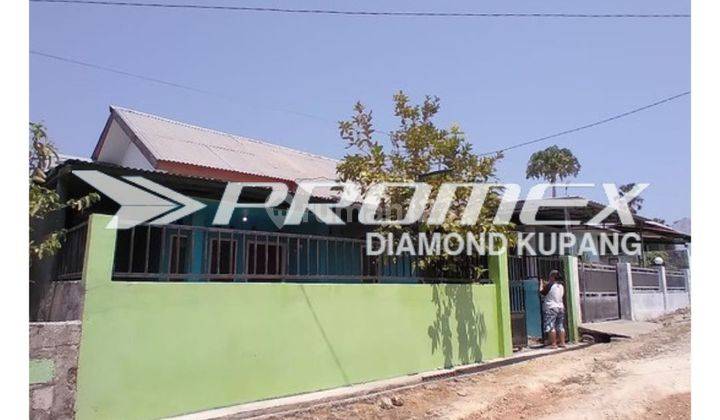 Rumah Bagus di Noelbaki
, Kupang 2