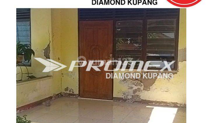 Disewakan Rumah Bagus di Oepura, Kupang 1