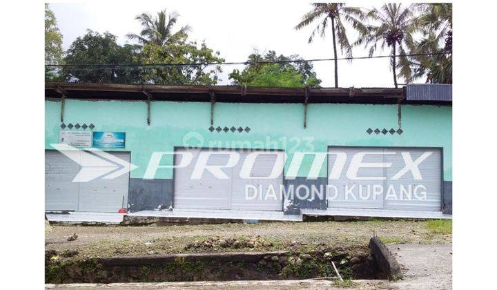  Disewakan Ruko di Sikumana, Kupang 1