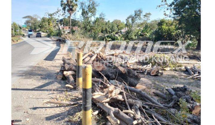 Dijual Tanah Datar Lokasi Strategis di Kupang 2