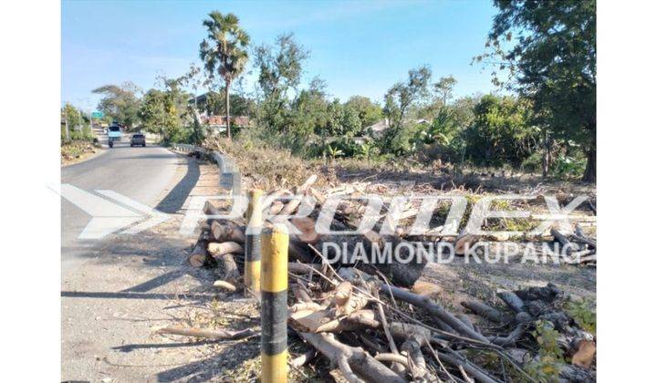 Dijual Tanah Datar Lokasi Strategis di Kupang 1