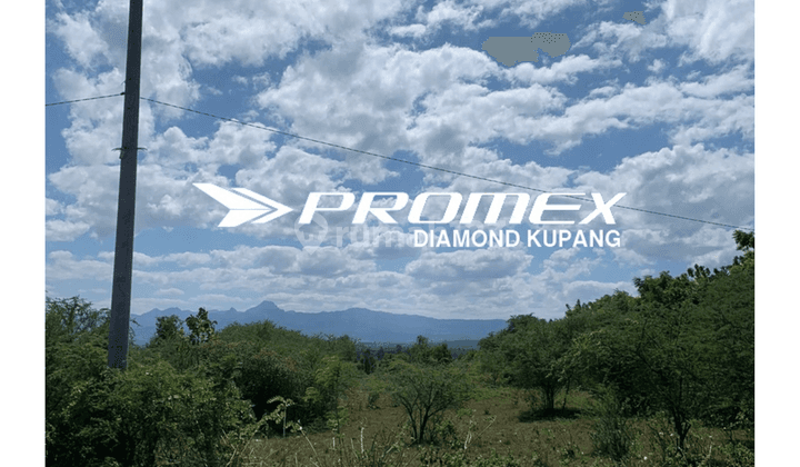  Dijual Tanah di Raknamo, Kupang SHM 1,7 Ha 2