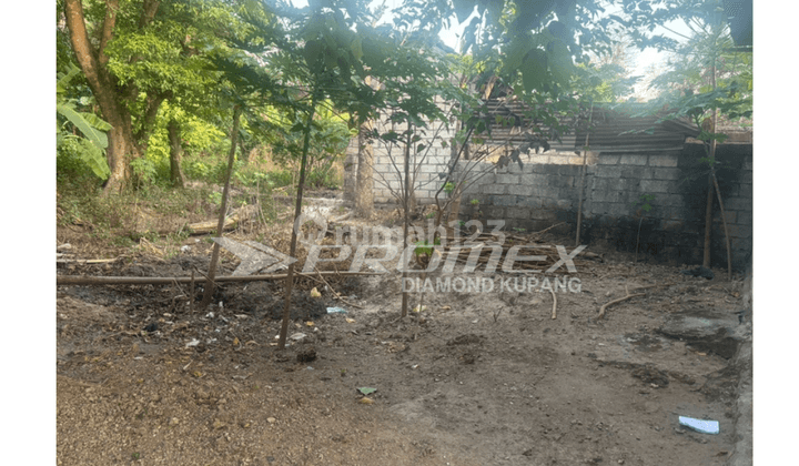 Dijual Tanah Jalan Utama di Sikumana, Kota Kupang 1