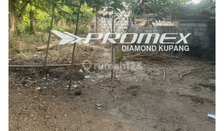 Dijual Tanah Jalan Utama di Sikumana, Kota Kupang 2