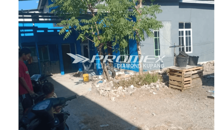 Dijual Rumah Bagus di Alak, Kupang 1