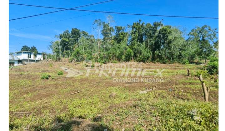 Dijual Tanah Lokasi Strategis di Komodo, Manggarai Barat 1