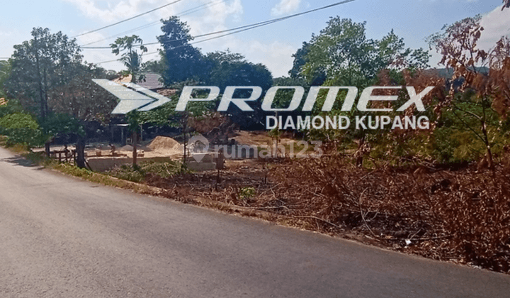 Dijual Tanah Luas di Naioni, Kota Kupang  1