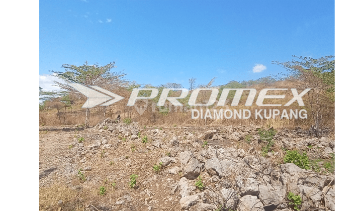 Dijual Tanah di Batuplat,  Kota Kupang - NTT 1