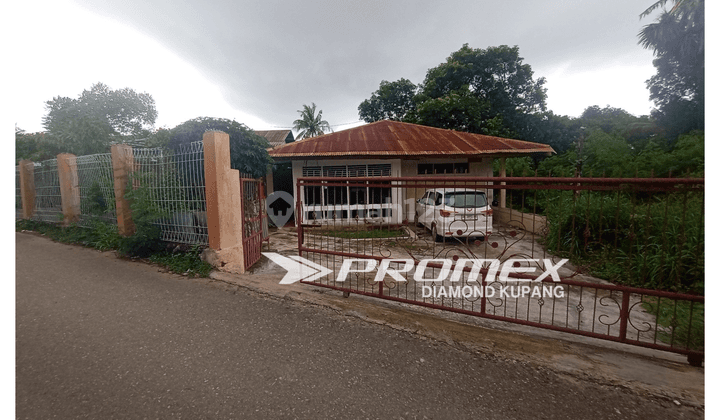 DI SEWAKAN RUMAH AREA KUANINO KOTA KUPANG 2
