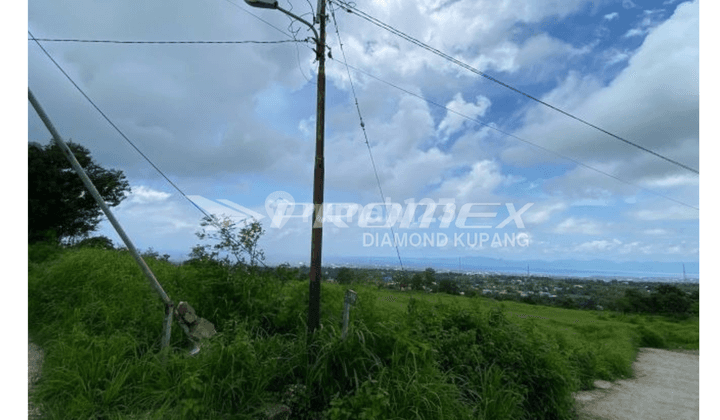  Dijual Tanah Luas di Bello, Kota Kupang Ntt 2