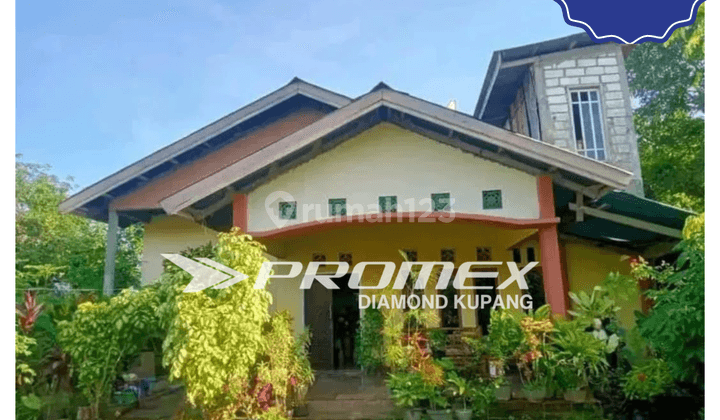 DIJUAL RUMAH TINGGAL AREA LILIBA KOTA KUPANG 1