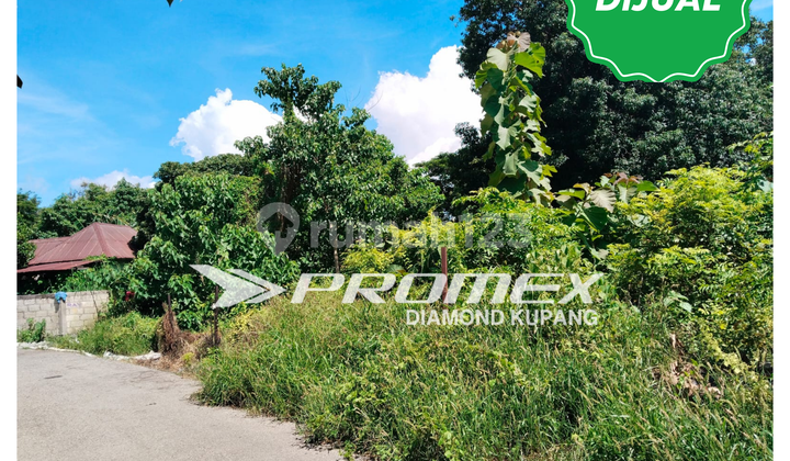 FOR SALE EMPTY LAND IN FONTEIN AREA, KUPANG CITY FOR SALE EMPTY LAND IN FONTEIN AREA, KUPANG CITY
