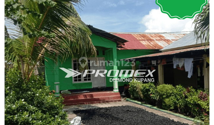 DIJUAL RUMAH AREA NAMOSAIN KUPANG 1