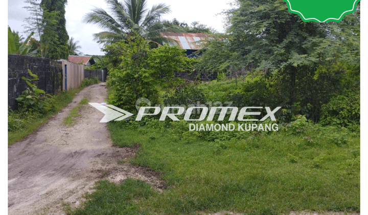 DIJUAL TANAH AREA NBS KOTA KUPANG 1