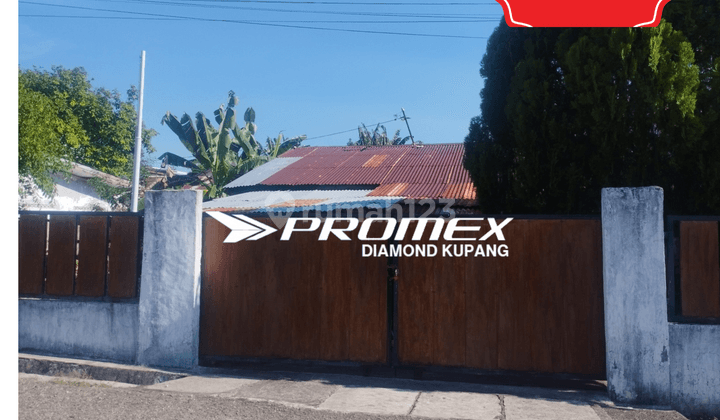 DISEWAKAN RUMAH HALAMAN LUAS, PAGAR KELILING DAERAH KOTA RAJA KUPANG 1