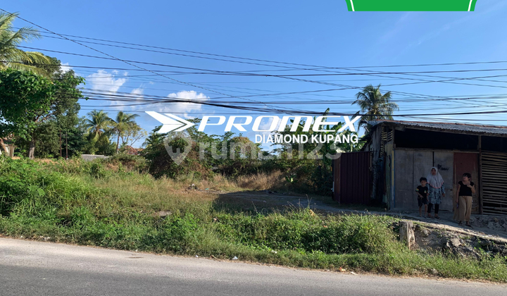 FOR RENT: EMPTY LAND LOCATION MAULAFA KUPANG