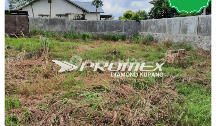 DIJUAL TANAH AREA BELLO KUPANG