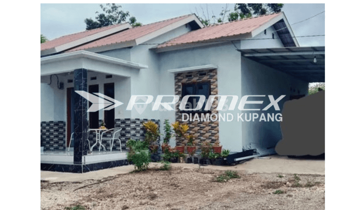 Dijual Rumah Bagus di Tarus , Kabupaten Kupang Ntt 1