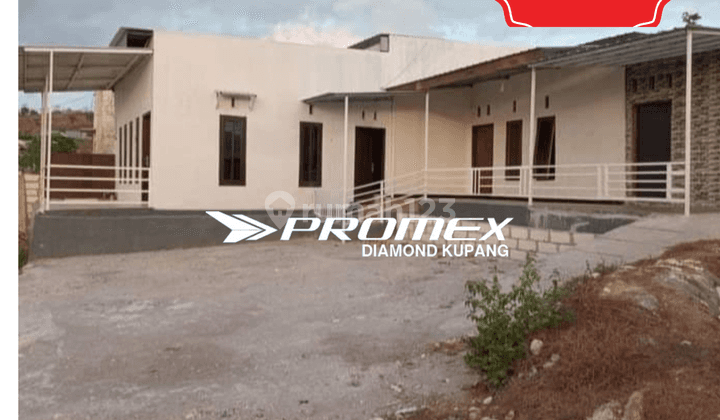 DISEWAKAN RUMAH HALAMAN LUAS DAN VIEW CANTIK DAERAH BATUPLAT KUPANG NTT 1