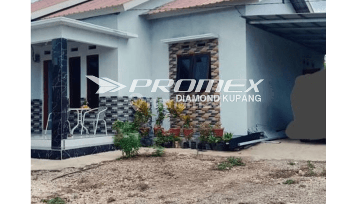 Dijual Rumah Bagus di Tarus , Kabupaten Kupang Ntt 2