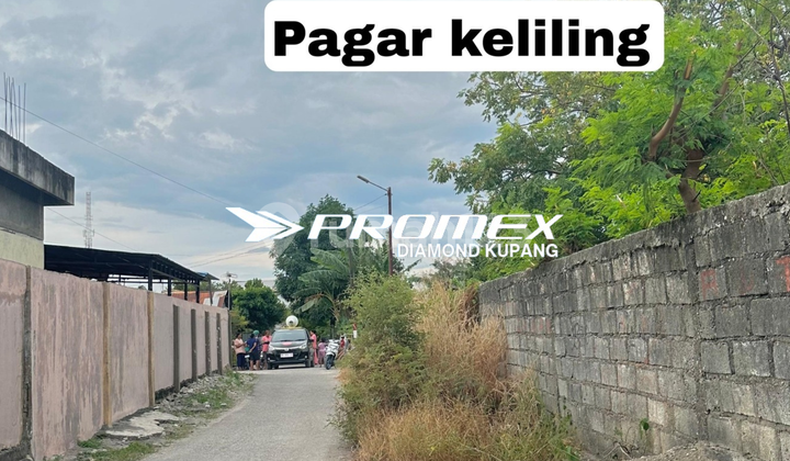 FOR SALE: HOUSE AND WAREHOUSE 150 METERS FROM JALAN TERUSAN TIMOR RAYA KUPANG FOR SALE: HOUSE AND WAREHOUSE 150 METERS FROM JALAN TERUSAN TIMOR RAYA KUPANG