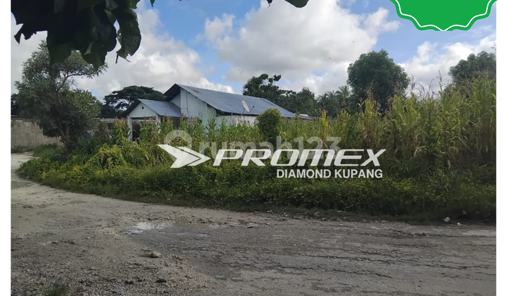 DIJUAL TANAH AREA PONDOK SAWAH TOFA KUPANG NTT