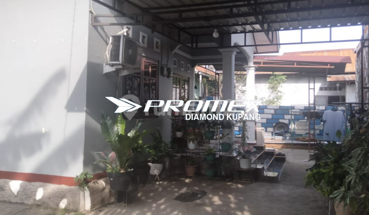 DIJUAL RUMAH CANTIK AREA JALAN BAJAWA KUPANG 2